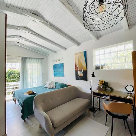 Pasiflora Studio Novigrad Istria Exteriör bild