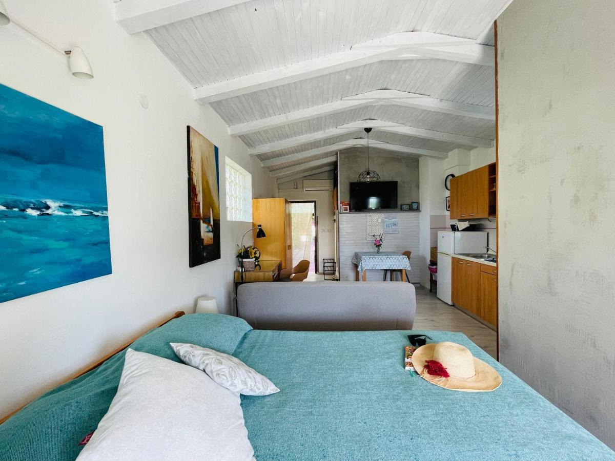 Pasiflora Studio Novigrad Istria Exteriör bild
