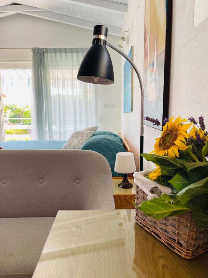 Pasiflora Studio Novigrad Istria Exteriör bild