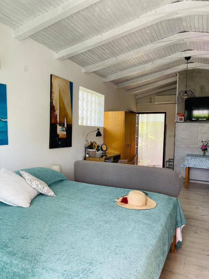 Pasiflora Studio Novigrad Istria Exteriör bild